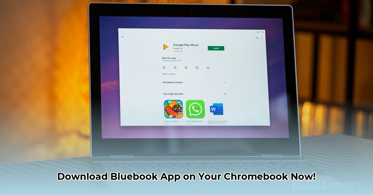 bluebook-app-download-for-chromebook